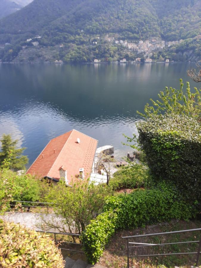 House On The Lake Shore Of ลาโญ ภายนอก รูปภาพ